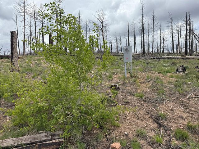 383 Soubry Pl, Fort Garland, CO 81133