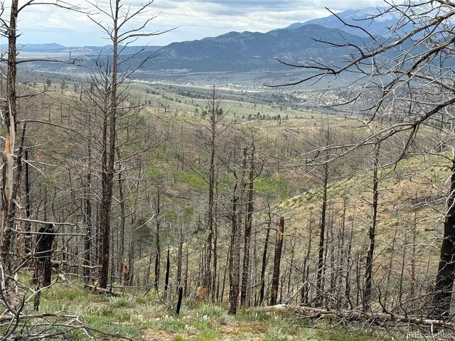 383 Soubry Pl, Fort Garland, CO 81133