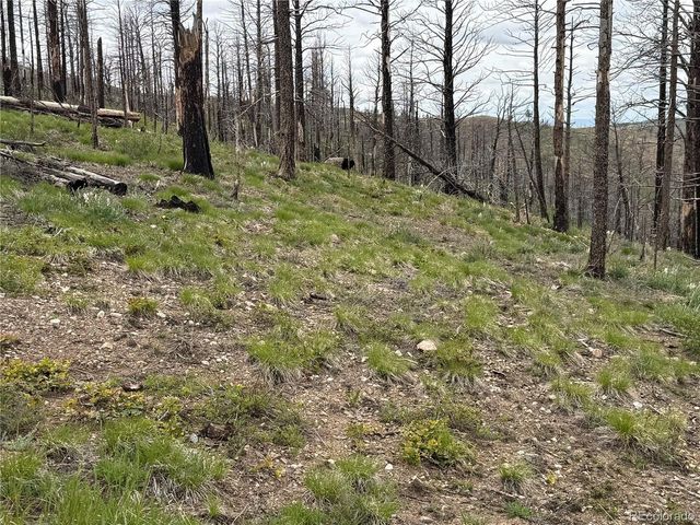 383 Soubry Pl, Fort Garland, CO 81133