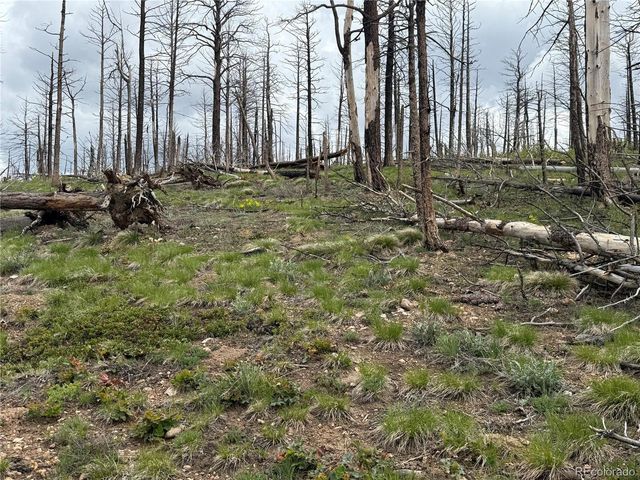 383 Soubry Pl, Fort Garland, CO 81133