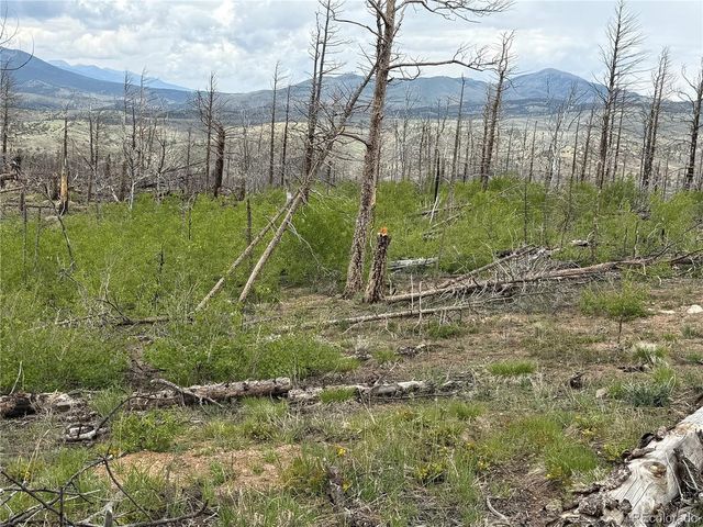 383 Soubry Pl, Fort Garland, CO 81133