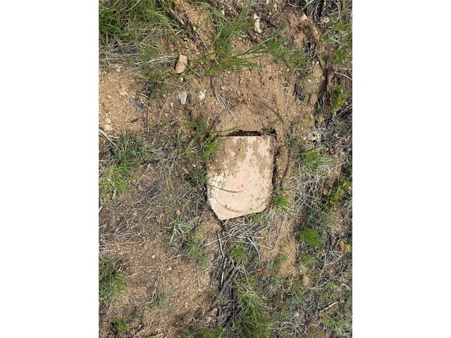 383 Soubry Pl, Fort Garland, CO 81133