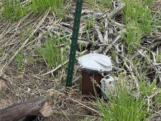 383 Soubry Pl, Fort Garland, CO 81133