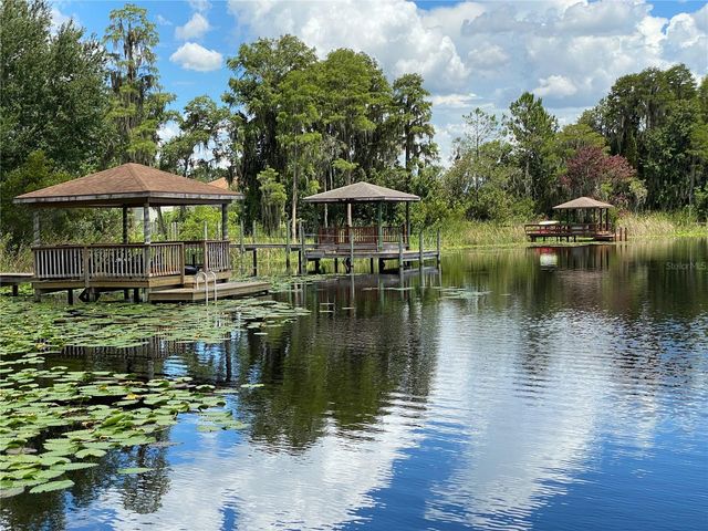 21430 DRAYCOTT WAY, Land O Lakes, FL 34637