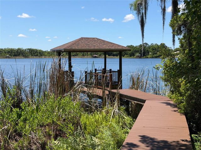 21430 DRAYCOTT WAY, Land O Lakes, FL 34637