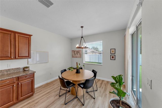 18617 MILTON KEYNES COURT, Land O Lakes, FL 34638