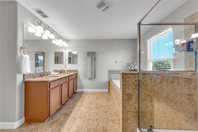 18617 MILTON KEYNES COURT, Land O Lakes, FL 34638