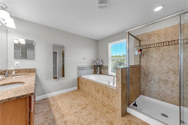 18617 MILTON KEYNES COURT, Land O Lakes, FL 34638