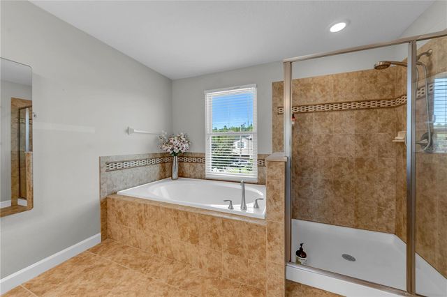 18617 MILTON KEYNES COURT, Land O Lakes, FL 34638