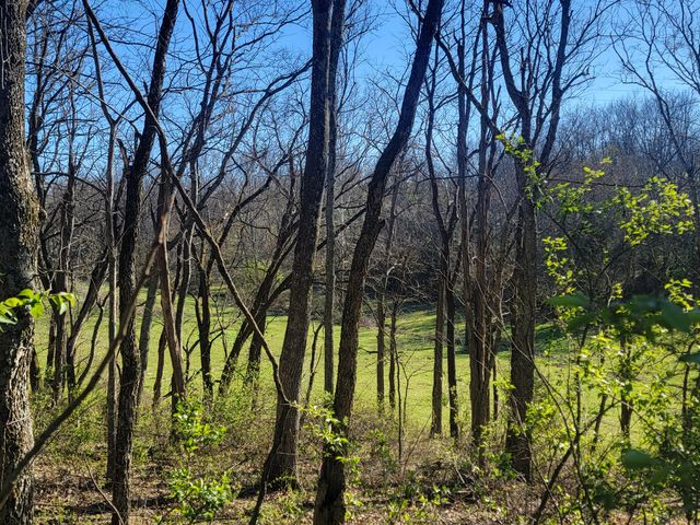 278 Luke Road, Sadieville, KY 40370