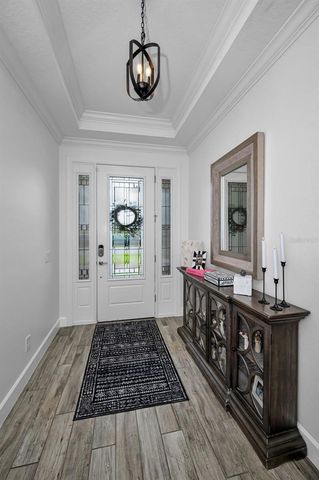 11151 CALLUNA DRIVE, Odessa, FL 33556