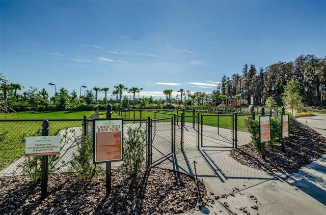 11151 CALLUNA DRIVE, Odessa, FL 33556