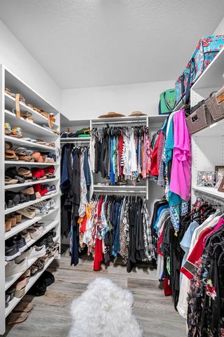 11151 CALLUNA DRIVE, Odessa, FL 33556