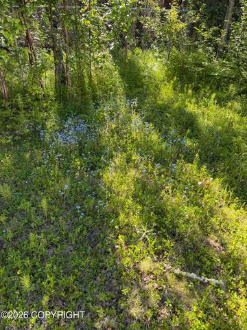 516 Ash Avenue, Kenai, AK 99611