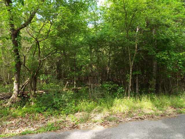 Lot 34 Dogwood Road, Huntsville, TX 77320