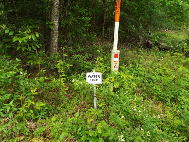 Lot 34 Dogwood Road, Huntsville, TX 77320