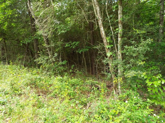 Lot 34 Dogwood Road, Huntsville, TX 77320