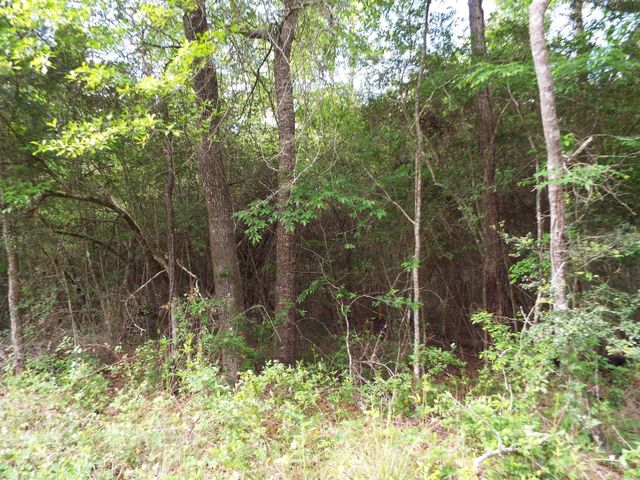 Lot 34 Dogwood Road, Huntsville, TX 77320