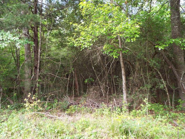 Lot 34 Dogwood Road, Huntsville, TX 77320