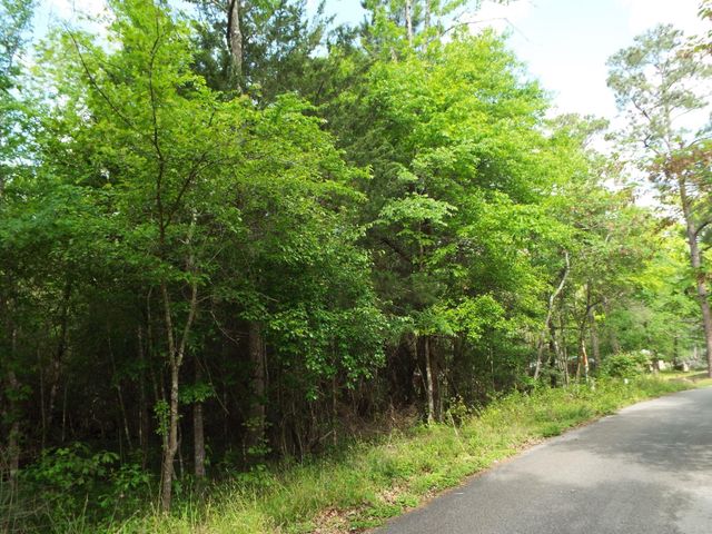 Lot 34 Dogwood Road, Huntsville, TX 77320