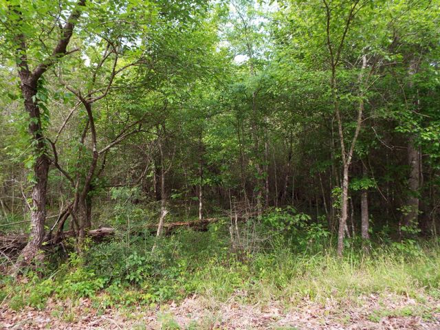 Lot 34 Dogwood Road, Huntsville, TX 77320