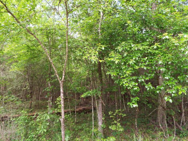Lot 34 Dogwood Road, Huntsville, TX 77320