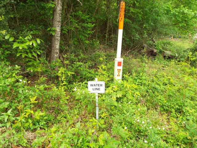 Lot 34 Dogwood Road, Huntsville, TX 77320