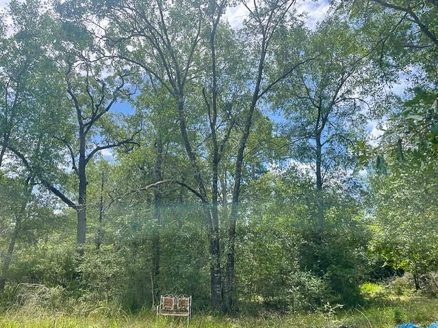 TBD Birdsong Lane, Bedias, TX 77831