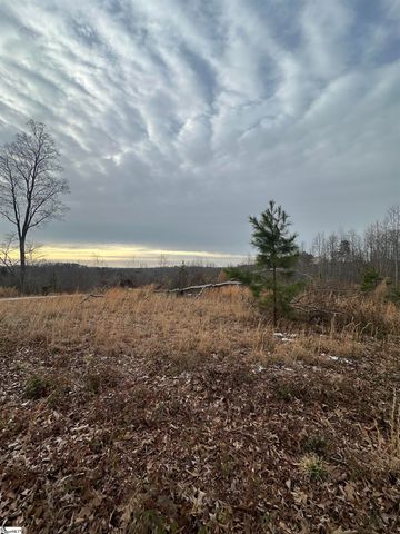 165 Still Lake Trail, Greer, SC 29651