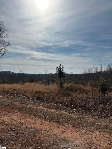 165 Still Lake Trail, Greer, SC 29651