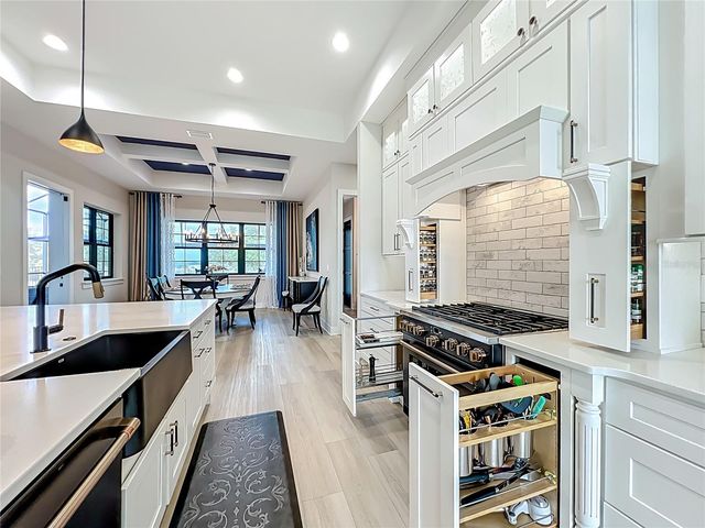 19375 RANCH CLUB BOULEVARD, Groveland, FL 34736