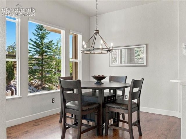 589 Burke Hollow Drive, Monument, CO 80132