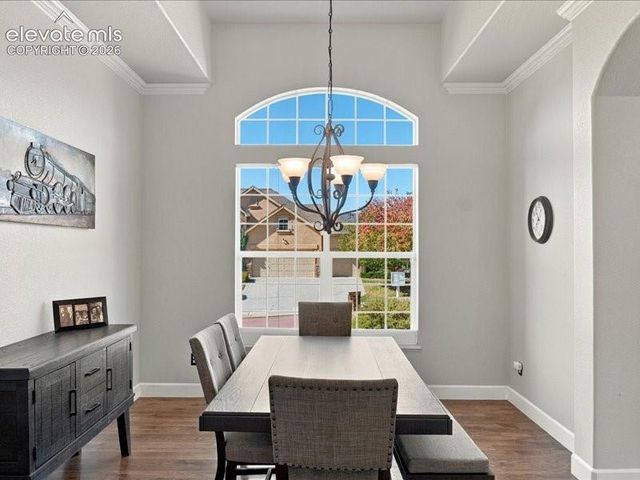 589 Burke Hollow Drive, Monument, CO 80132