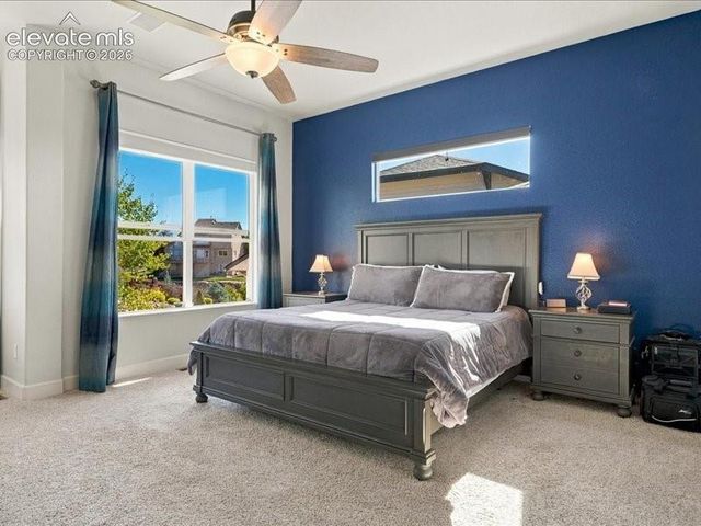 589 Burke Hollow Drive, Monument, CO 80132