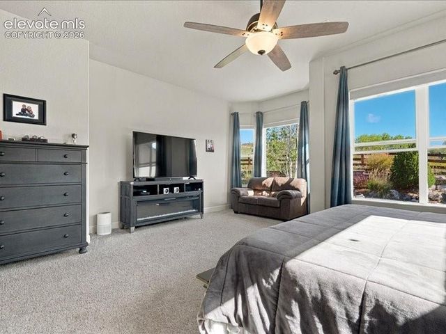 589 Burke Hollow Drive, Monument, CO 80132