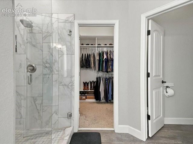 589 Burke Hollow Drive, Monument, CO 80132