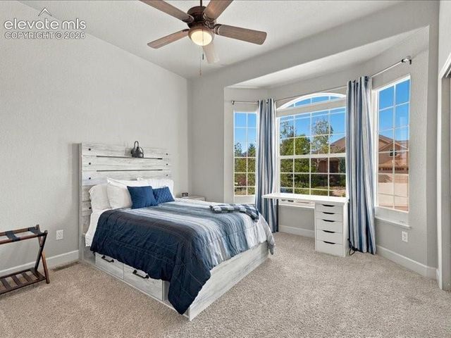 589 Burke Hollow Drive, Monument, CO 80132
