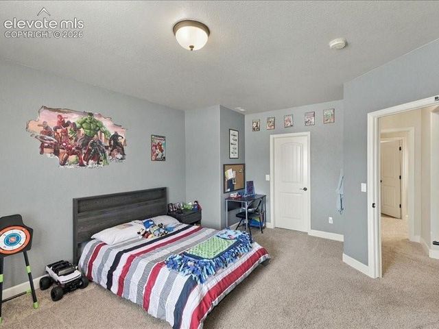 589 Burke Hollow Drive, Monument, CO 80132