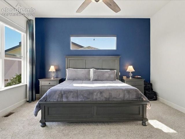 589 Burke Hollow Drive, Monument, CO 80132