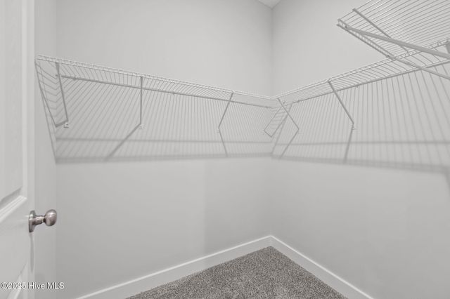 802 Little Cardinal Court, Jacksonville, NC 28540