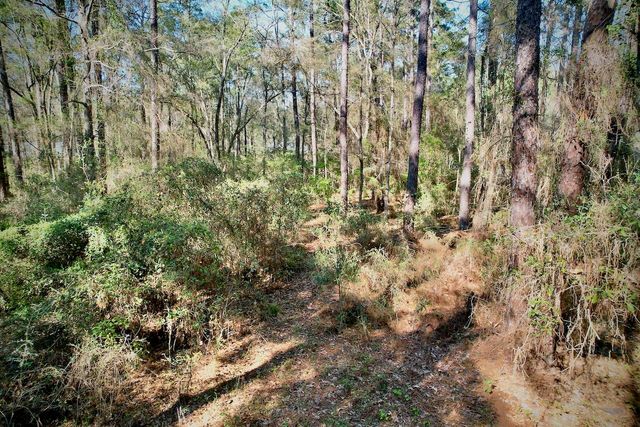 0 Amber Valley Drive, Tallahassee, FL 32312