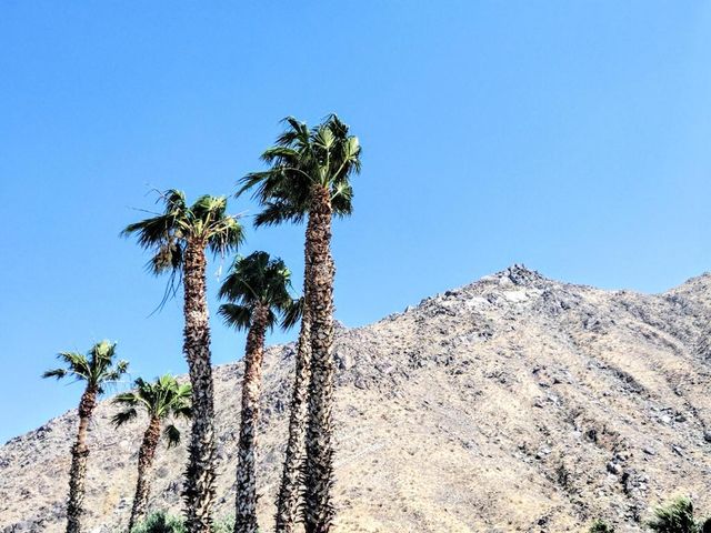 22840 Sterling Avenue 93, Palm Springs, CA 92262