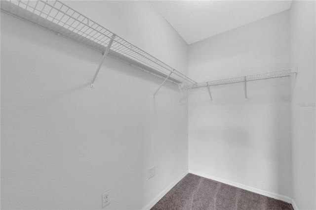 3608 DIAMOND LEAF COURT, Valrico, FL 33594