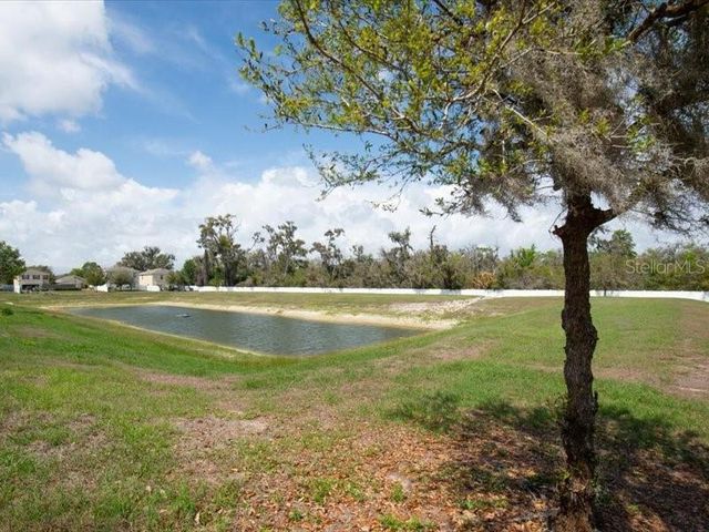 3608 DIAMOND LEAF COURT, Valrico, FL 33594