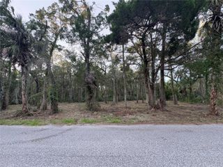 11905 W ELDRED LANE, Homosassa, FL 34448