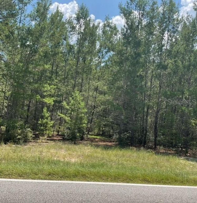 1140 CORAL FARMS ROAD, Florahome, FL 32140