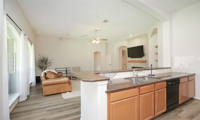 11418 Ruby Canyon Lane, Houston, TX 77095