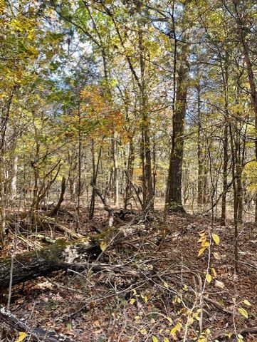 0 OLD NASHVILLE DIRT ROAD, N, Shelbyville, TN 37160