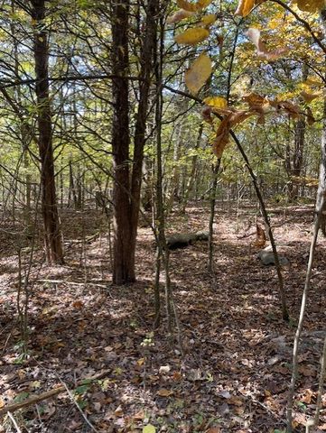 0 OLD NASHVILLE DIRT ROAD, N, Shelbyville, TN 37160