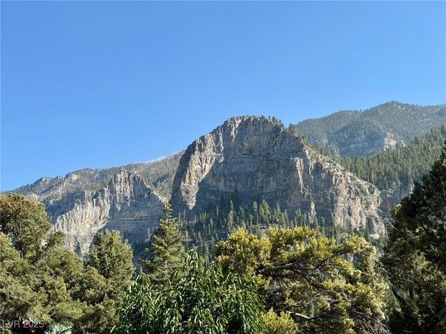 239 Crestview Drive, Mount Charleston, NV 89124
